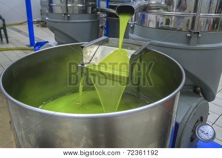 Olive Oil Production