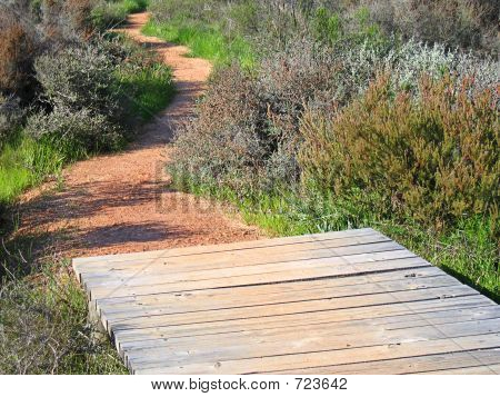 Pathway