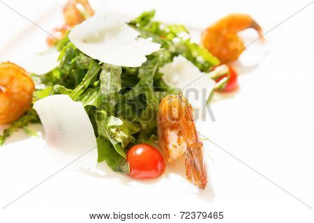 Shrimp Salad