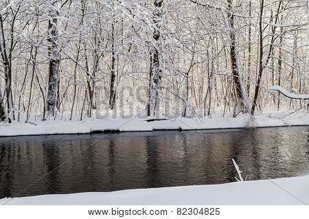 Winter Landscape Forest Snow River Water
