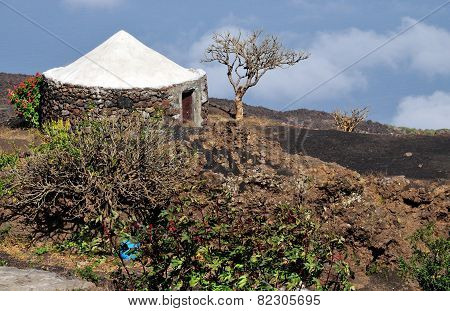 Round Rock House With White Roof