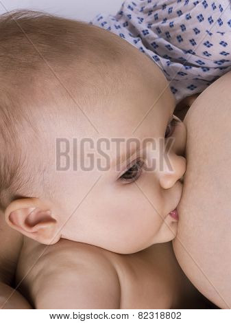 Baby Breastfeeding Close Up