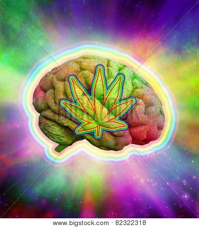 Psychedelic Brain Marijuana
