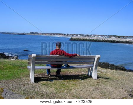 海沿いを魅了