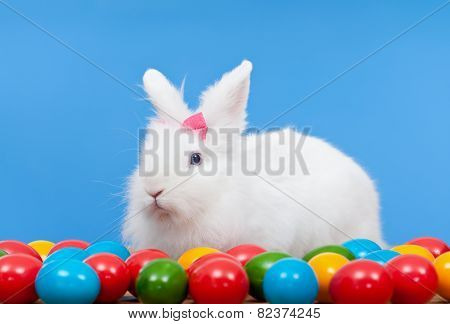Fluffy White Rabbit With Pink Bow Guarding Colorful Eggs