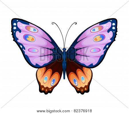 Colorful Vector Butterfly