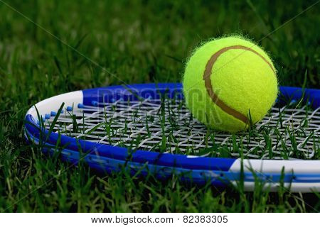 grass tennis