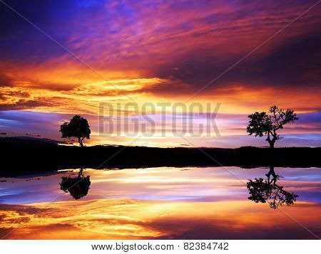 Lake trees