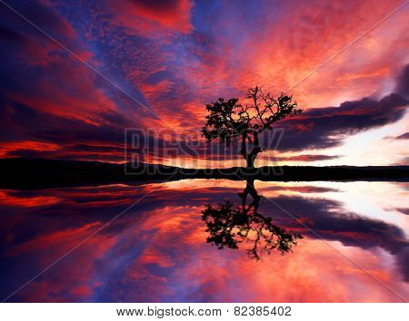 water reflections