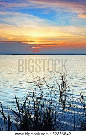 the sea from the shore