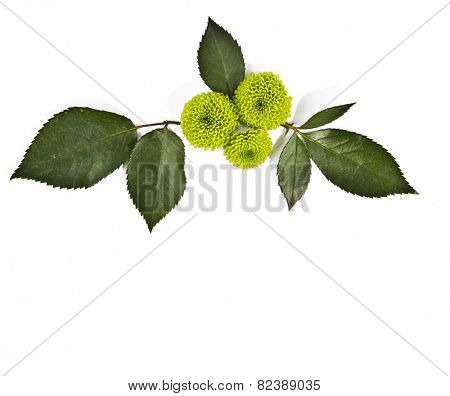 Flower Tattoo