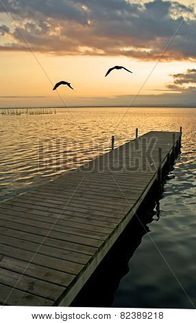 lonely lake