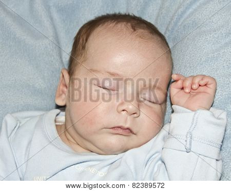 the thinker