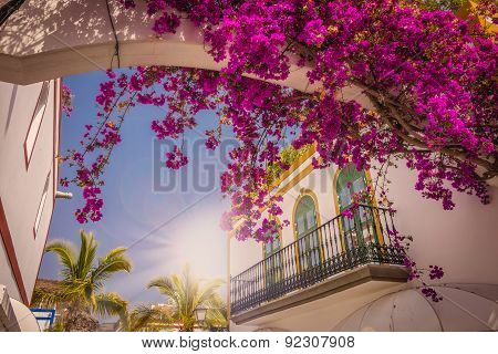 Puerto Mogan architecture
