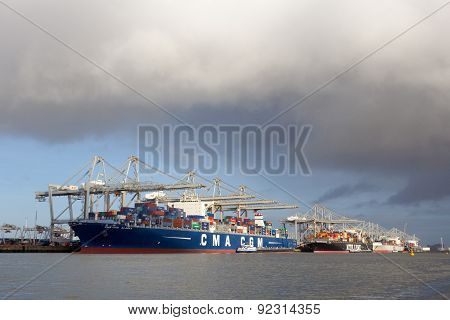 Container Ships