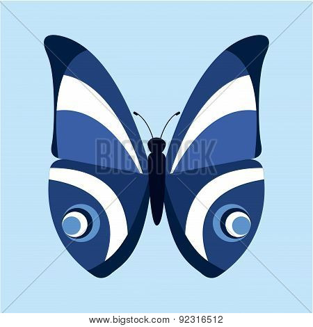 butterfly design