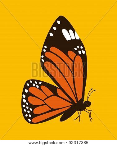butterfly design