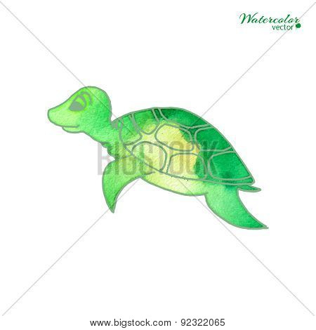 turtle in cartoon style
