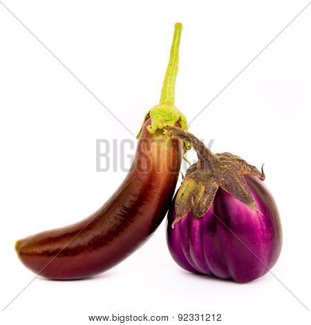 Two different species of eggplant