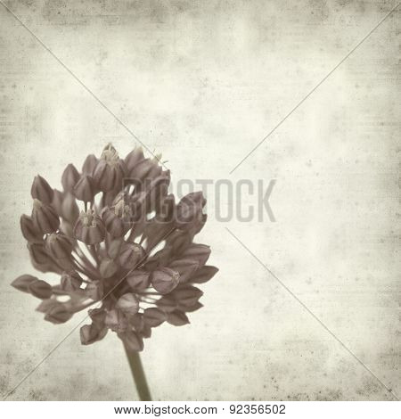 Textured Old Paper Background