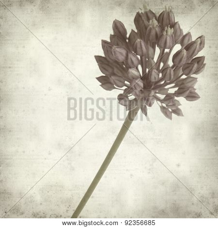 Textured Old Paper Background