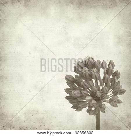 Textured Old Paper Background
