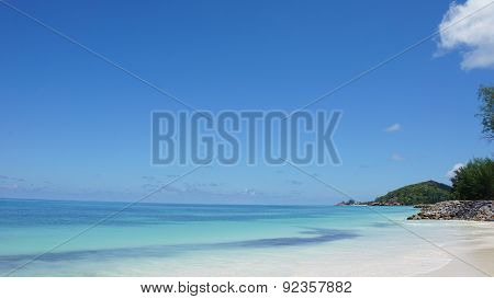 Nautral Tropical Paradise