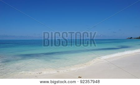 Nautral Tropical Paradise