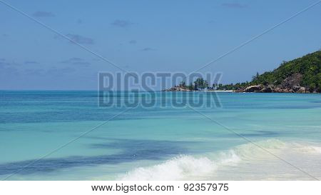 Nautral Tropical Paradise