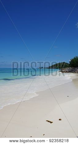 Nautral Tropical Paradise