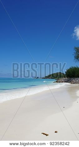 Nautral Tropical Paradise