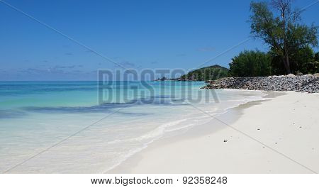 Nautral Tropical Paradise