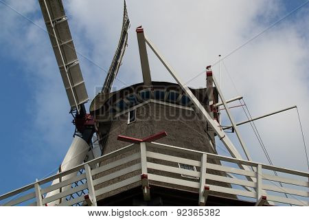 View on the reed top of a windmill