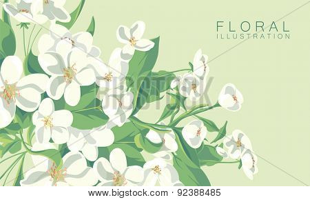 floral illustration of apple tree blossom