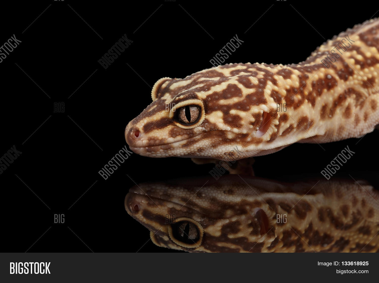 Image Preview