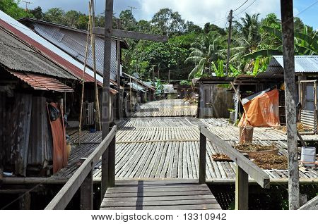 Home Borneo Headhunters