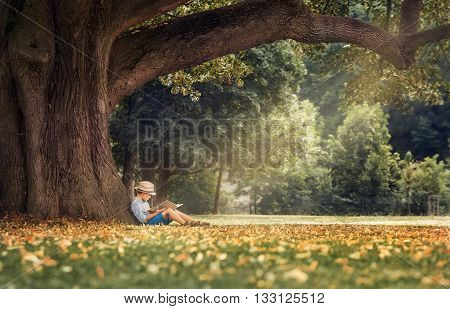 Little boy reading a book under big linden tree