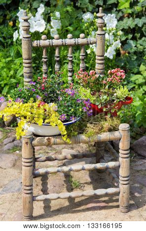 Garden Decoration With A Old Chair.