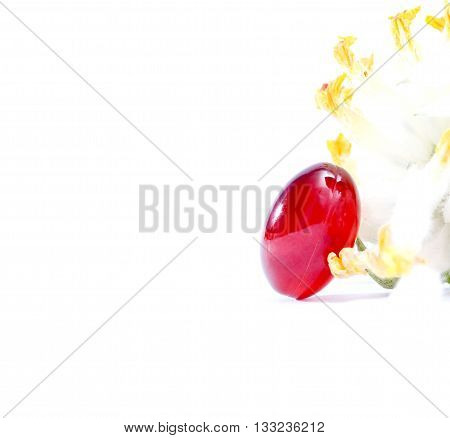 picture of a red omega 3 krill capsules