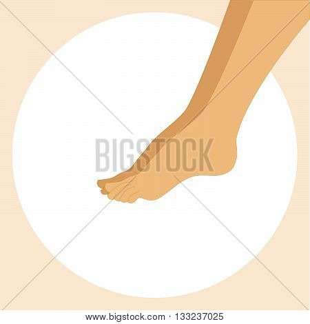 Beautiful female feet. Body care design vector illustration