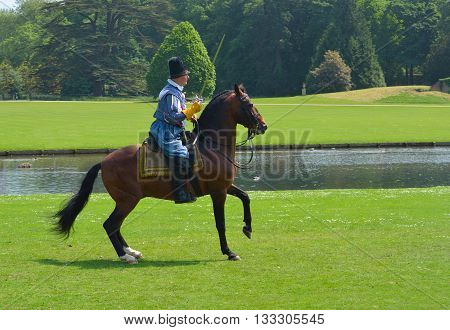 Saffron Walden, Essex, England - June 05, 2016: Brown horse being  ridden by man wearing Elizabethan costume with sword.