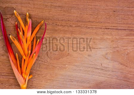 Heliconias flowers on wooden background, with space for text.
