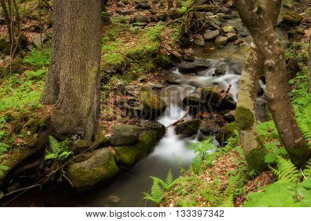 Beautiful Cascade In Sudety Mountains