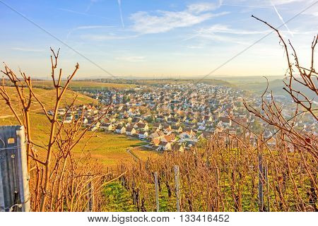 view over village Hessigheim near the river Neckar