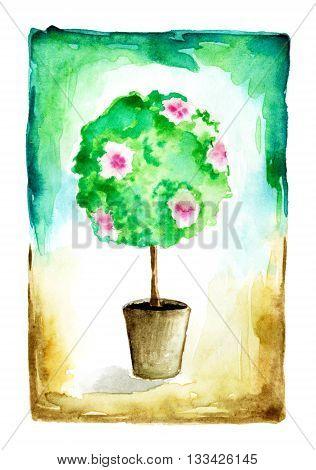 Watercolor flowering tree in a flower pot. Raster illustration.