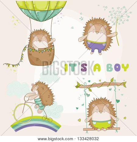 Baby Hedgehog Set - for Baby Shower or Baby Arrival Cards - in vector