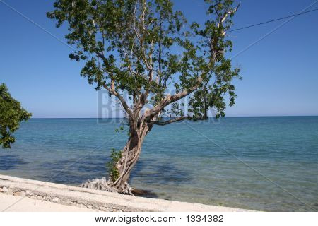  Jamaica kystlinje