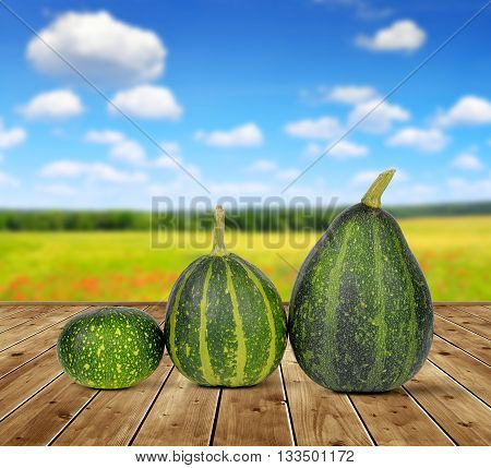 Three ripe green pumpkins on wooden board