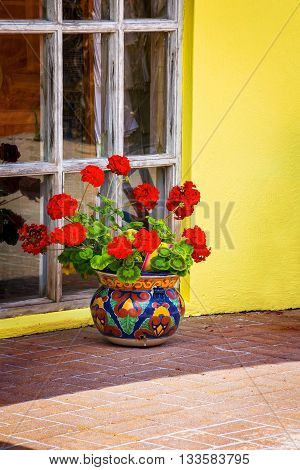 A red potted geranium outside a home in St George's Bermuda.