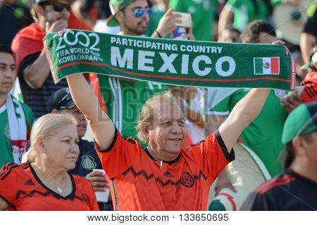 Soccer Fan During Copa America Centenario